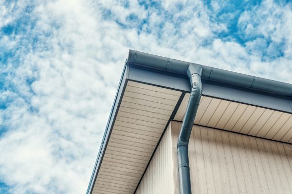 Gutter Fascia Repair in Peyton