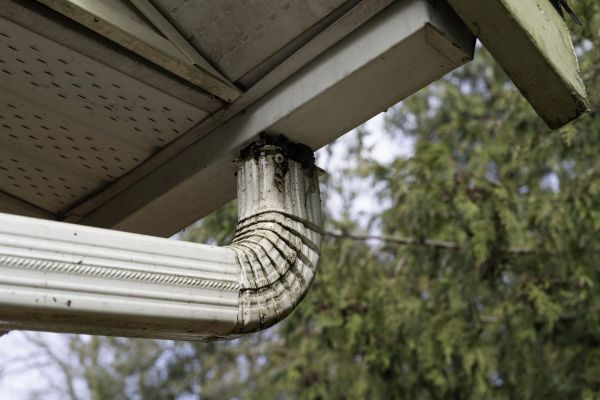 Roof Drain Replacement in Peyton