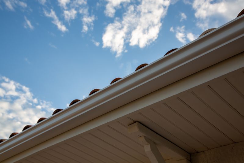 Steel Gutters Service detail